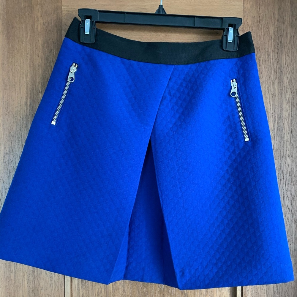 Ted Baker Skirt
